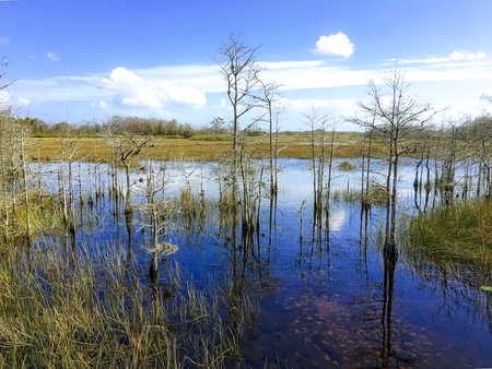 Still Waters