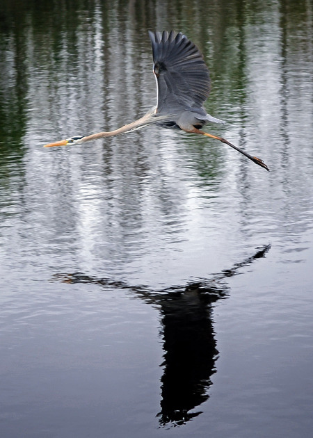 In Flight