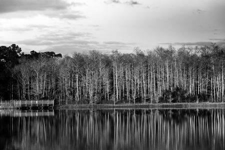 Florida's Winter