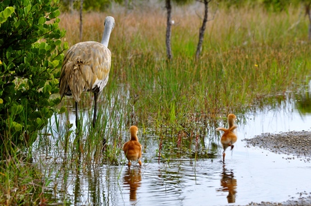 taking a stroll