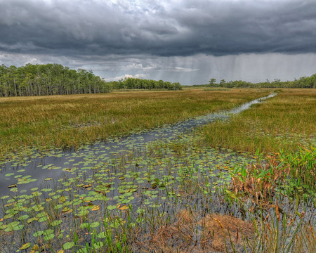 Approaching Storm