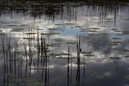 Clouds in the water