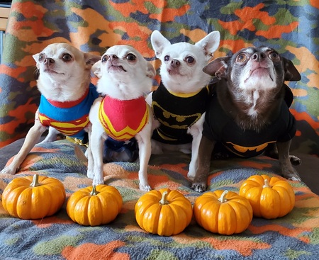 Lola and her kids