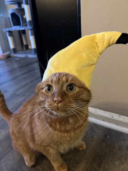 Linus