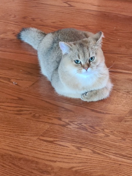 Tater