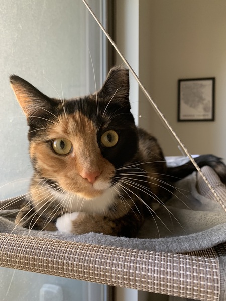 Penny
