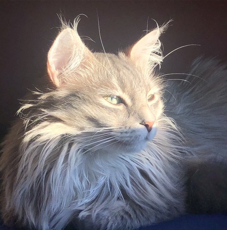 Minnie