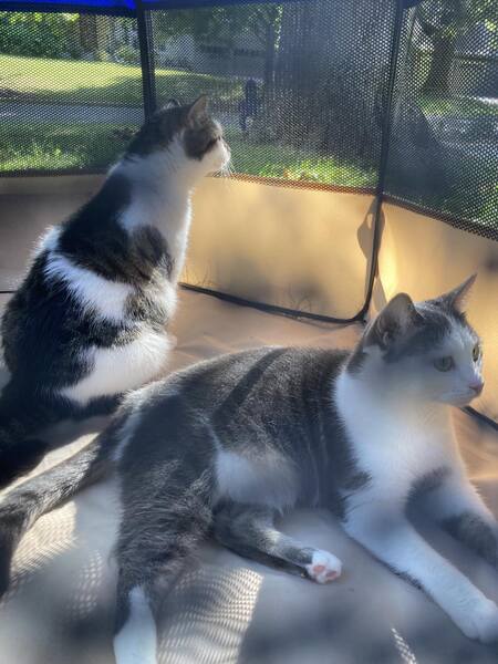 Maxie & Mara