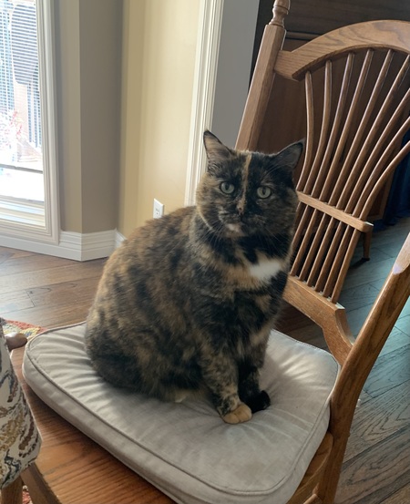Phoebe