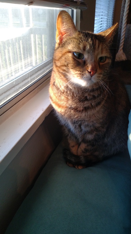 Cleo