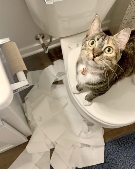 Yzma