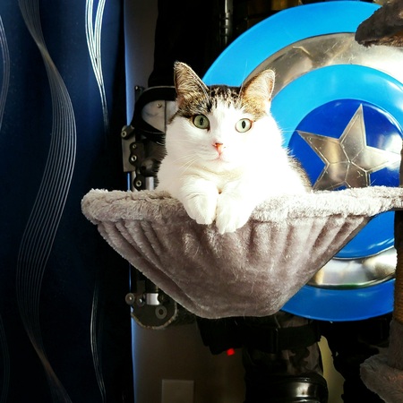 CleoCatra
