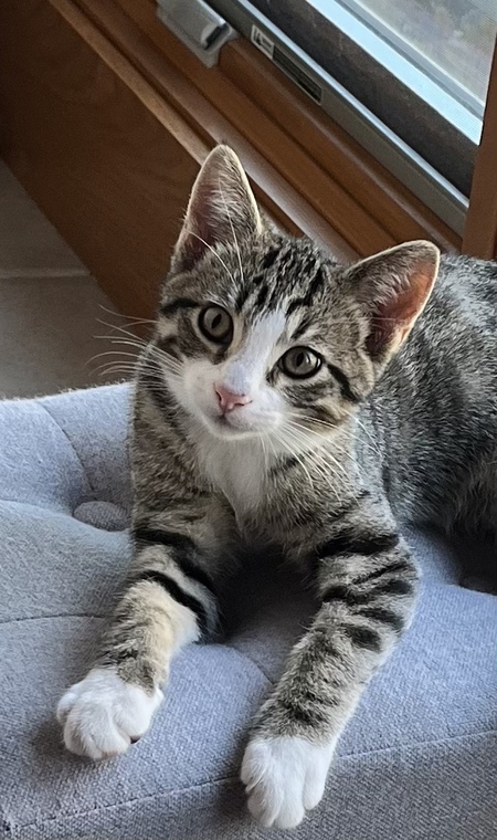 Victor