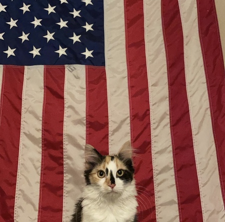 Taffy