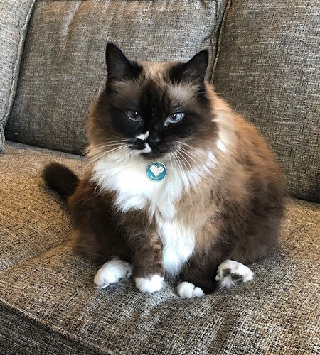 Sophie