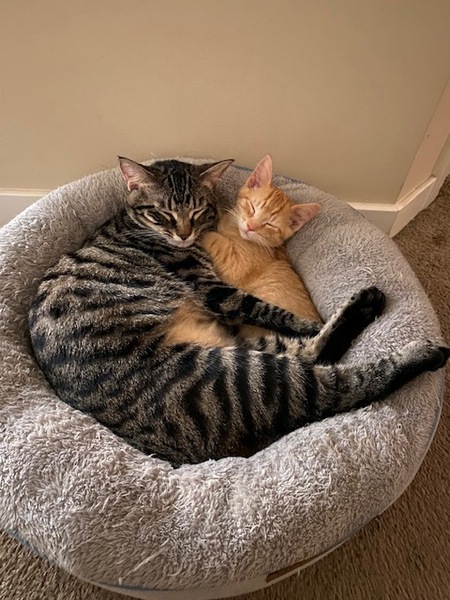Leo and Sunny 