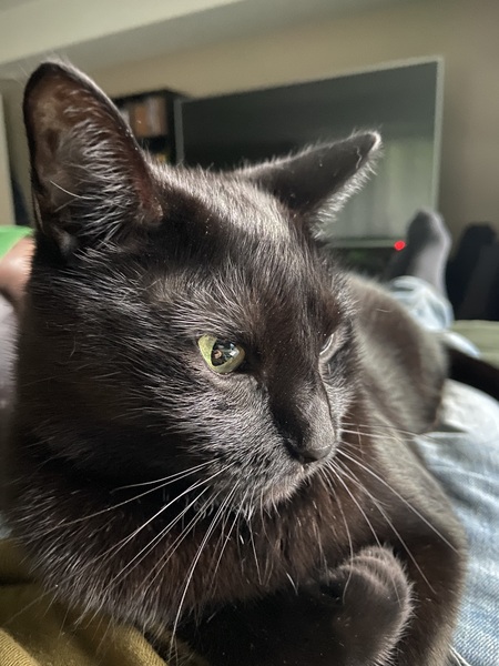 Binxy