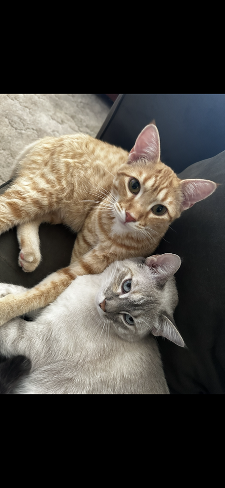 Finley & Coco