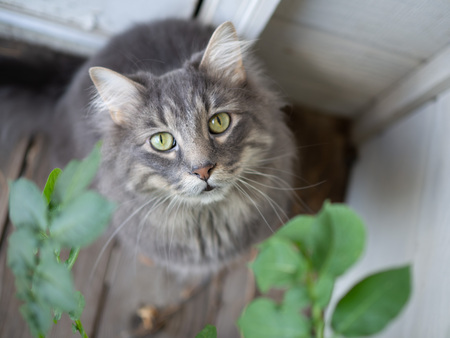 Sebastian