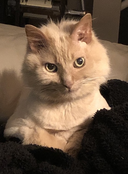 Melvin