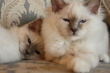 Herbie and Charlie