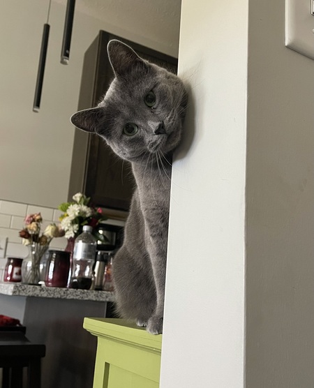 Pru