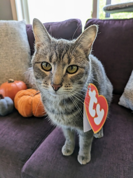 Hera