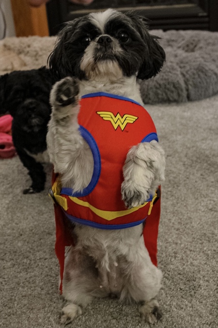 Mable