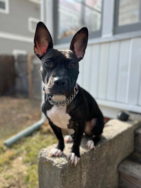 Luna
