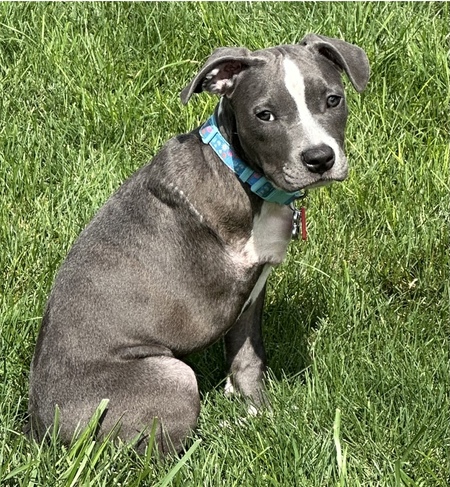 Evie