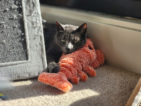 Pepper