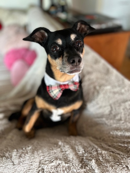 Edgar 