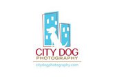 City Dog Photography 