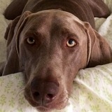 Entry image for Tuesday 