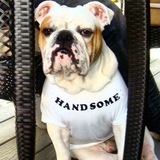 Entry image for Titan aka "Fat Boy"