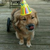 Entry image for Doug