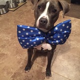 Entry image for Daisy 