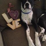 Entry image for Teagan Shelby 