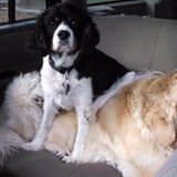 Entry image for Buddy and Madeline