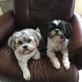 Entry image for Evie & Isabelle