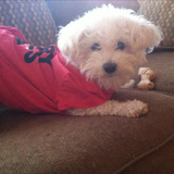 Entry image for Brandi