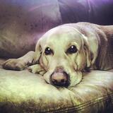 Entry image for Oakley