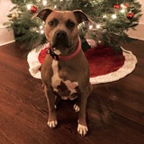 Entry image for Hope