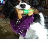 Entry image for Lucy