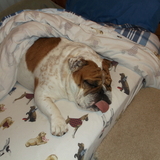 Entry image for Lola