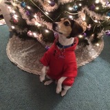 Entry image for Gracie Lynn sit pretty