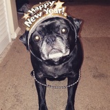 Entry image for Peanut