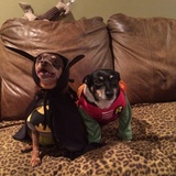 Entry image for Angel and Trixi