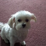 Entry image for Julie