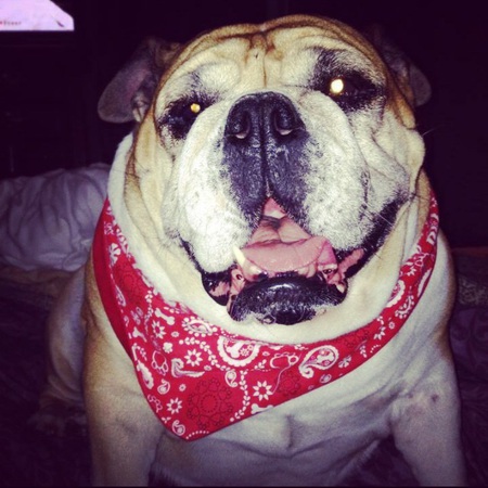 Entry image for Mabel . Clicking this image will show a larger photo